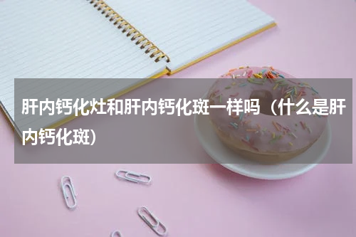 肝内钙化灶和肝内钙化斑一样吗（什么是肝内钙化斑）