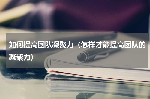 如何提高团队凝聚力（怎样才能提高团队的凝聚力）