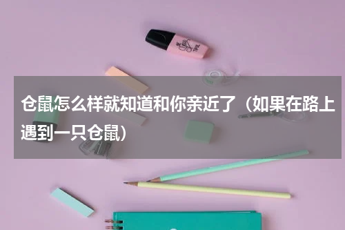 仓鼠怎么样就知道和你亲近了（如果在路上遇到一只仓鼠）