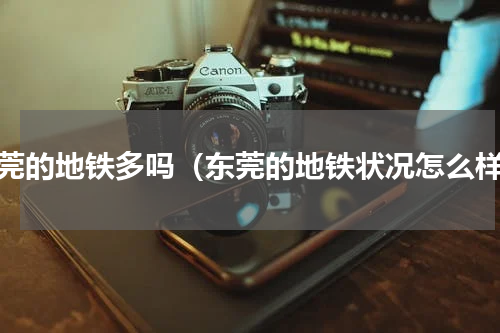 东莞的地铁多吗（东莞的地铁状况怎么样）