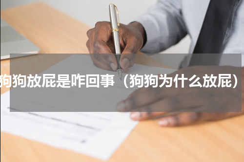 狗狗放屁是咋回事（狗狗为什么放屁）