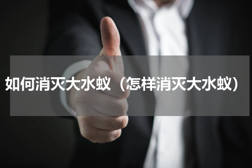 如何消灭大水蚁（怎样消灭大水蚁）
