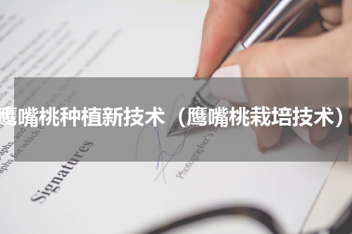 鹰嘴桃种植新技术（鹰嘴桃栽培技术）