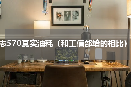 凌志570真实油耗（和工信部给的相比）