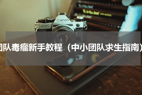 团队毒瘤新手教程（中小团队求生指南）