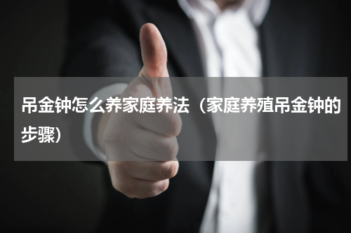 吊金钟怎么养家庭养法（家庭养殖吊金钟的步骤）