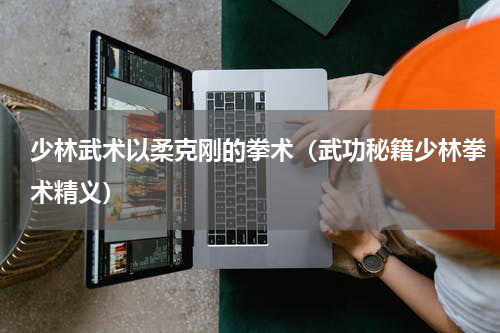少林武术以柔克刚的拳术（武功秘籍少林拳术精义）