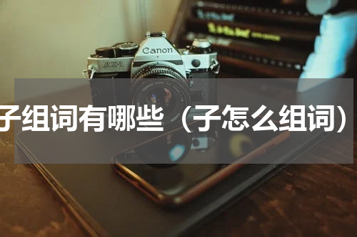 子组词有哪些（子怎么组词）