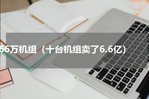 66万机组（十台机组卖了6.6亿）