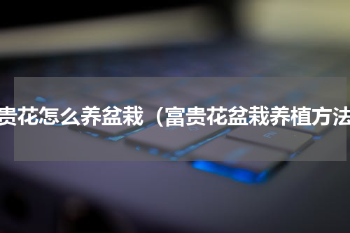 富贵花怎么养盆栽（富贵花盆栽养植方法）