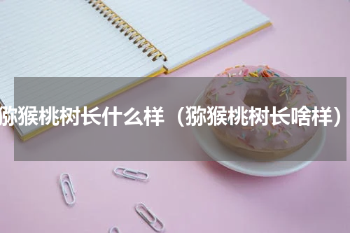 猕猴桃树长什么样（猕猴桃树长啥样）