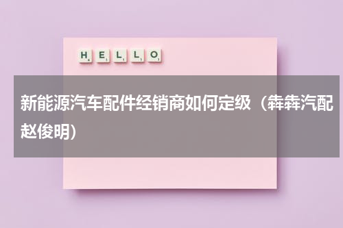 新能源汽车配件经销商如何定级（犇犇汽配赵俊明）