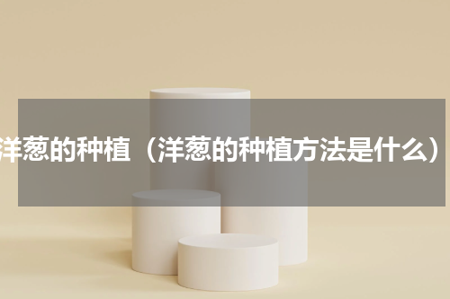 洋葱的种植（洋葱的种植方法是什么）