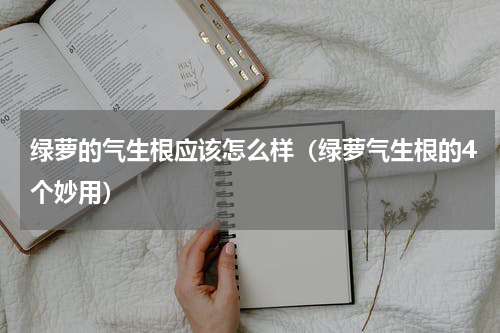 绿萝的气生根应该怎么样（绿萝气生根的4个妙用）