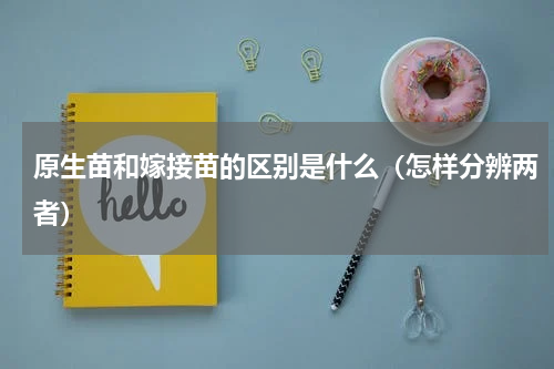 原生苗和嫁接苗的区别是什么（怎样分辨两者）