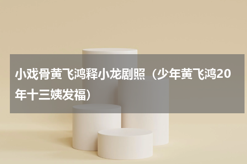 小戏骨黄飞鸿释小龙剧照（少年黄飞鸿20年十三姨发福）