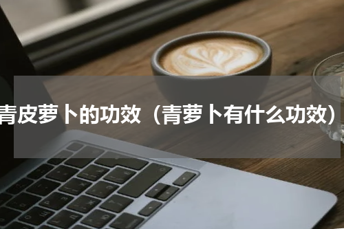 青皮萝卜的功效（青萝卜有什么功效）