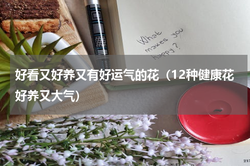 好看又好养又有好运气的花（12种健康花好养又大气）