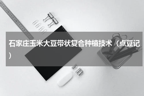 石家庄玉米大豆带状复合种植技术（点豆记）