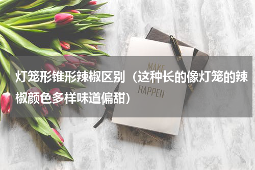 灯笼形锥形辣椒区别（这种长的像灯笼的辣椒颜色多样味道偏甜）