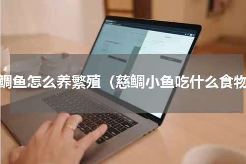 慈鲷鱼怎么养繁殖（慈鲷小鱼吃什么食物）