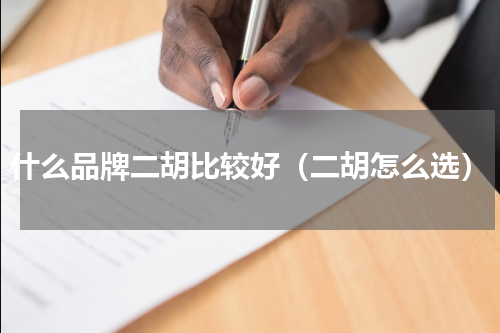 什么品牌二胡比较好（二胡怎么选）
