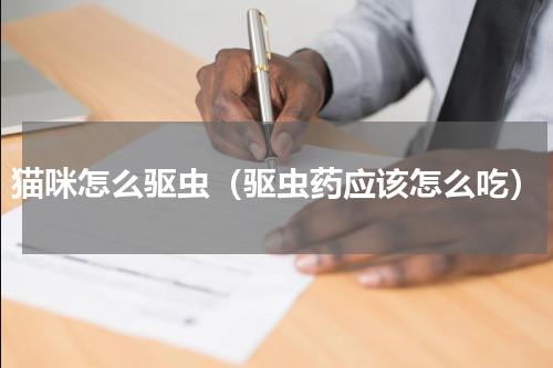 猫咪怎么驱虫（驱虫药应该怎么吃）