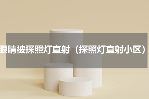 眼睛被探照灯直射（探照灯直射小区）