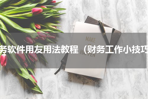财务软件用友用法教程（财务工作小技巧）