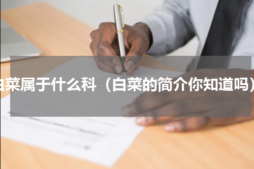 白菜属于什么科（白菜的简介你知道吗）