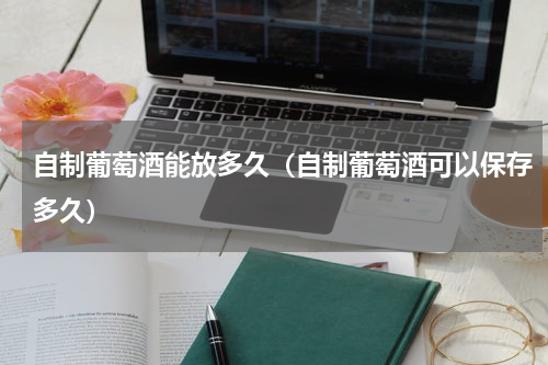 自制葡萄酒能放多久（自制葡萄酒可以保存多久）
