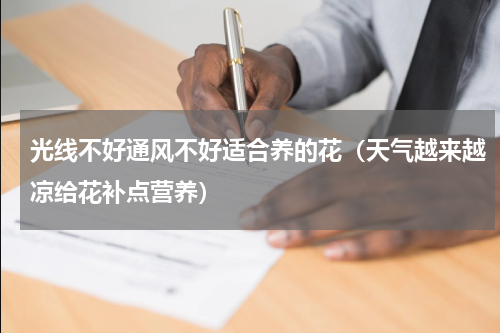 光线不好通风不好适合养的花（天气越来越凉给花补点营养）