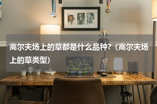 高尔夫场上的草都是什么品种?（高尔夫场上的草类型）