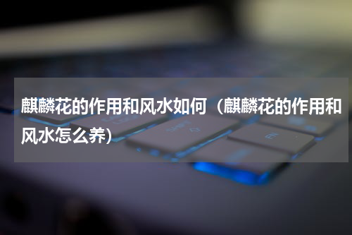 麒麟花的作用和风水如何（麒麟花的作用和风水怎么养）