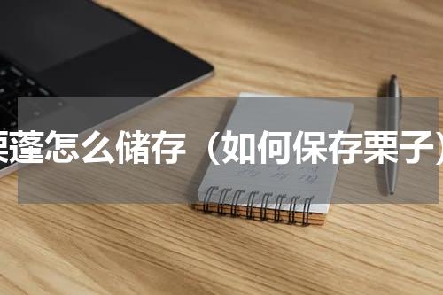 栗蓬怎么储存（如何保存栗子）
