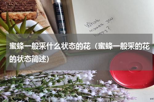 蜜蜂一般采什么状态的花（蜜蜂一般采的花的状态简述）