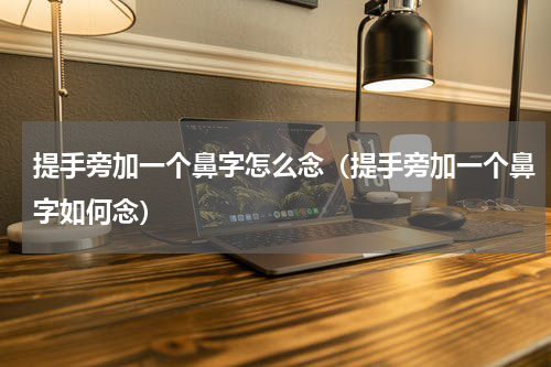 提手旁加一个鼻字怎么念（提手旁加一个鼻字如何念）