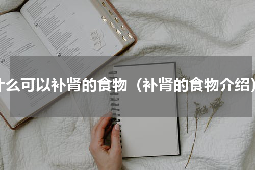 什么可以补肾的食物（补肾的食物介绍）