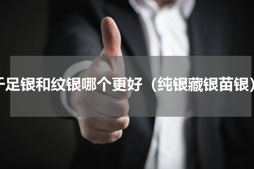 千足银和纹银哪个更好（纯银藏银苗银）