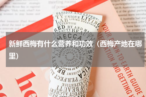 新鲜西梅有什么营养和功效（西梅产地在哪里）