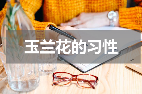 玉兰花的习性