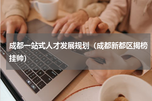 成都一站式人才发展规划（成都新都区揭榜挂帅）