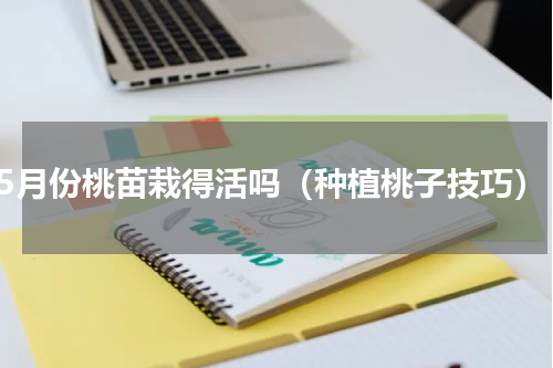 5月份桃苗栽得活吗（种植桃子技巧）