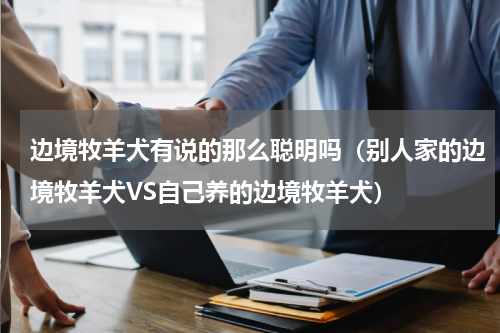 边境牧羊犬有说的那么聪明吗（别人家的边境牧羊犬VS自己养的边境牧羊犬）