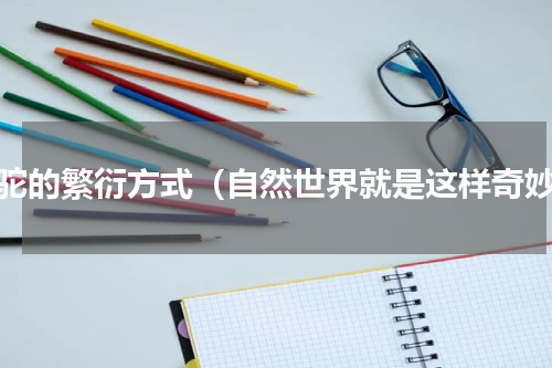 骆驼的繁衍方式（自然世界就是这样奇妙）
