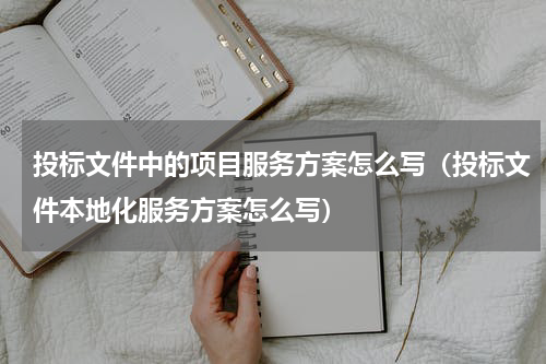 投标文件中的项目服务方案怎么写（投标文件本地化服务方案怎么写）