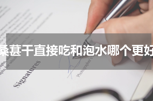 桑葚干直接吃和泡水哪个更好