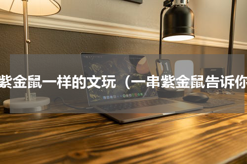 和紫金鼠一样的文玩（一串紫金鼠告诉你）
