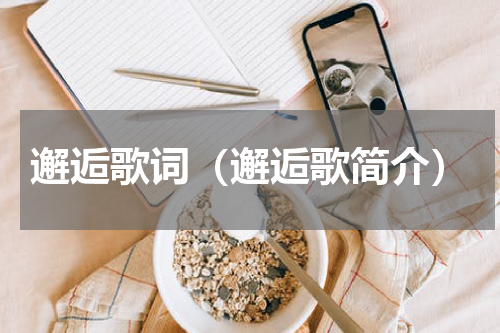 邂逅歌词（邂逅歌简介）