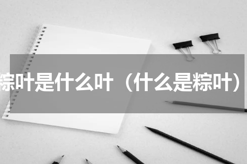 粽叶是什么叶（什么是粽叶）